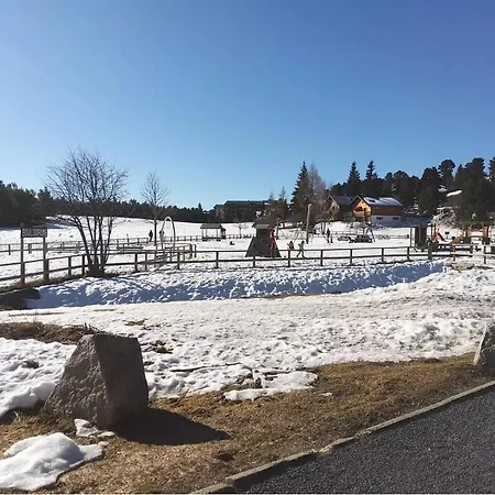 Confortable Au Pied Des Pistes Et De La Foret Apartment *