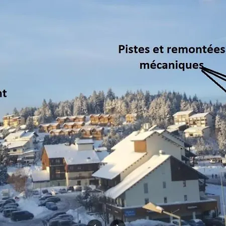 Confortable Au Pied Des Pistes Et De La Foret *