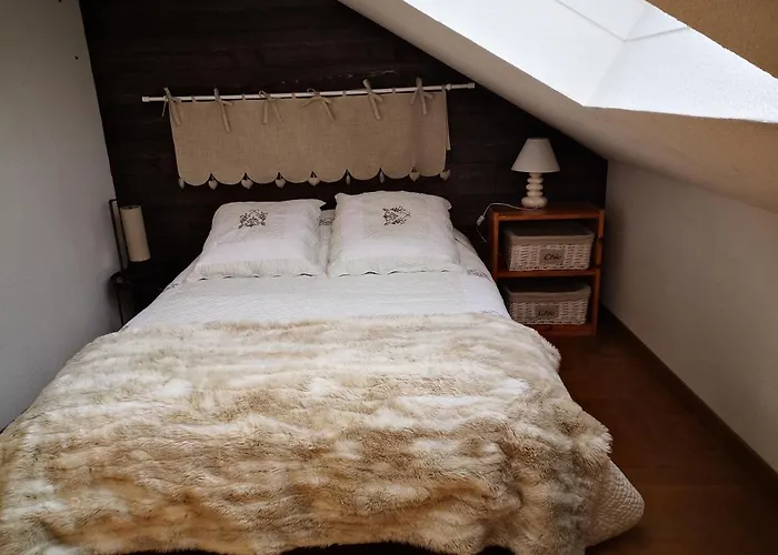 Confortable Au Pied Des Pistes Et De La Foret Apartament *