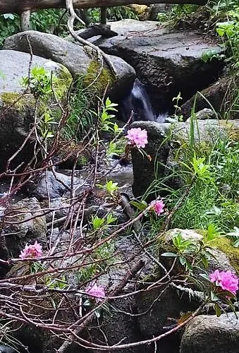 Apartament Confortable Au Pied Des Pistes Et De La Foret