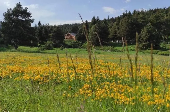 Apartament Confortable Au Pied Des Pistes Et De La Foret *