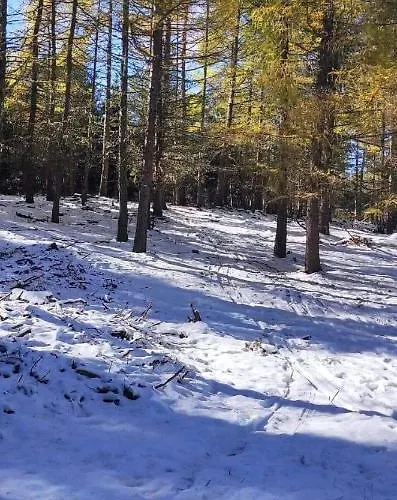 Confortable Au Pied Des Pistes Et De La Foret * Bolquère