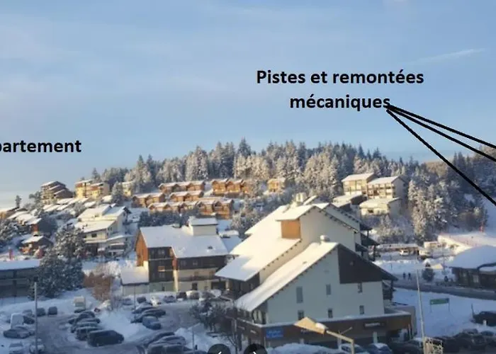 Confortable Au Pied Des Pistes Et De La Foret *