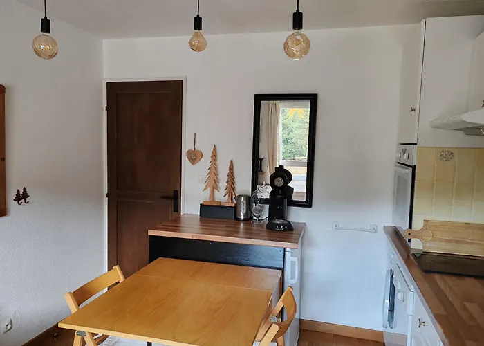 Apartament Confortable Au Pied Des Pistes Et De La Foret *